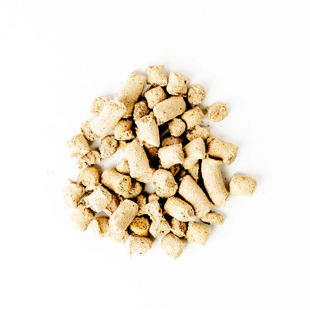 Salmon Blue Freeze Dried Whole Food Bites