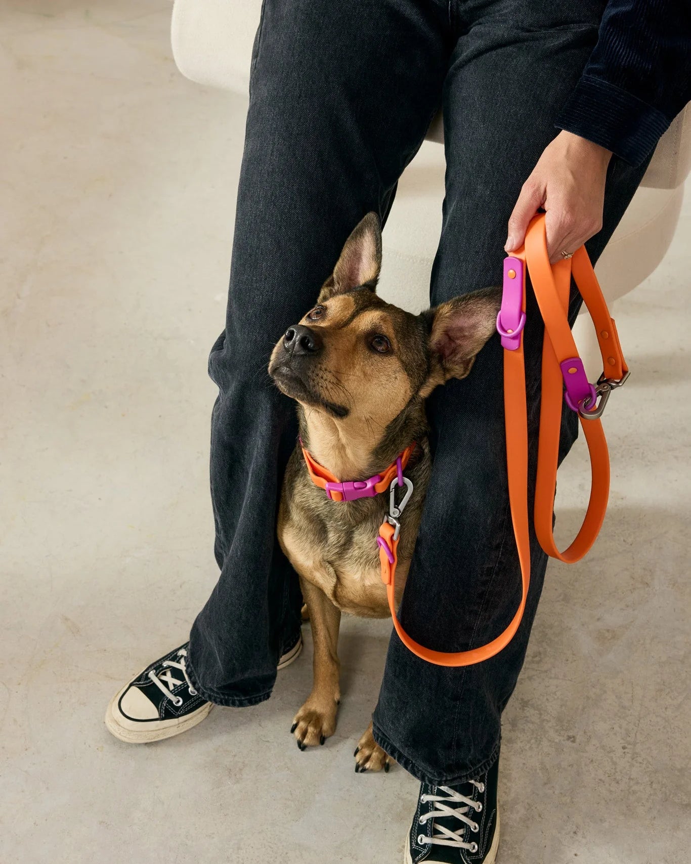 The Fritz Leash