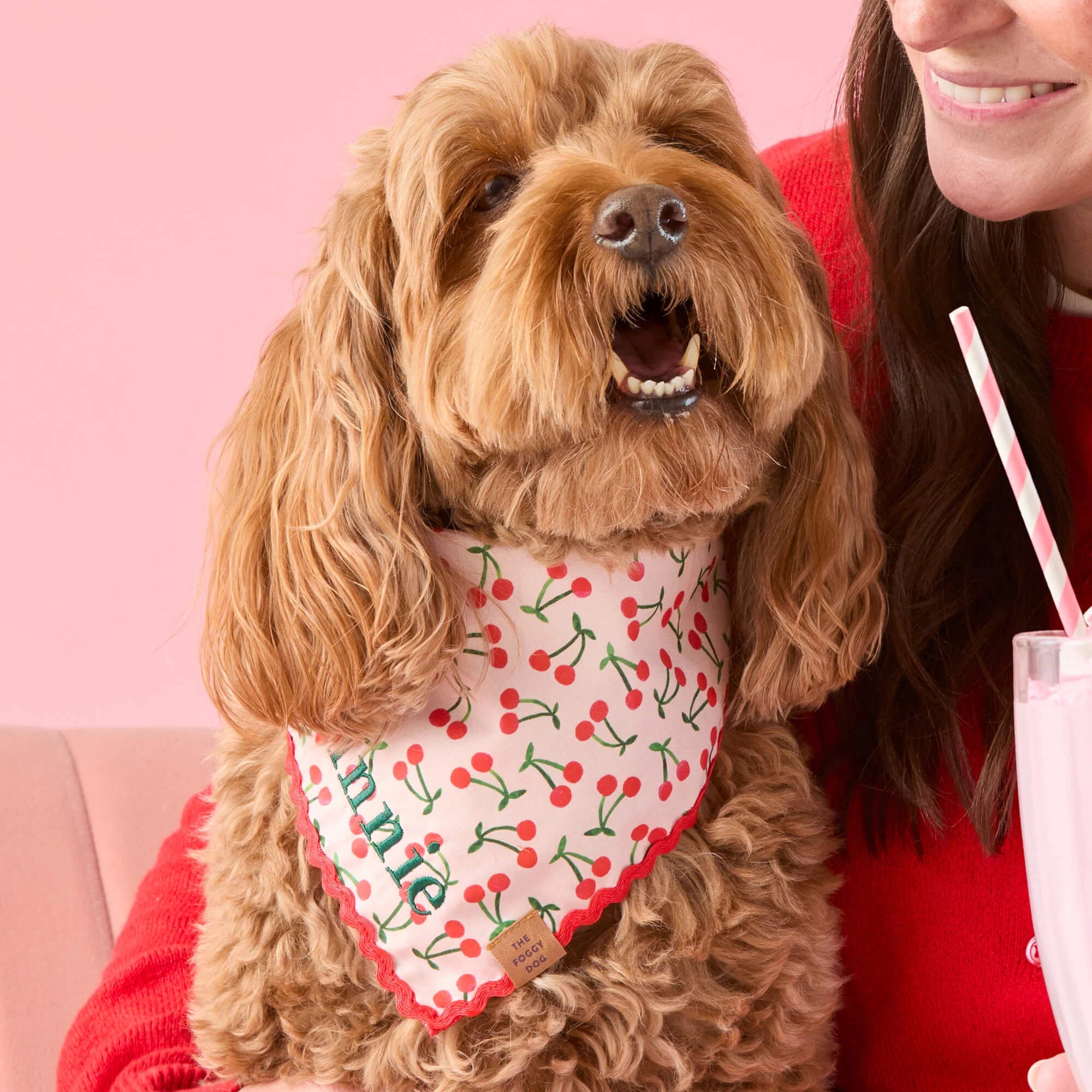 Cherry Jubilee Dog Bandana