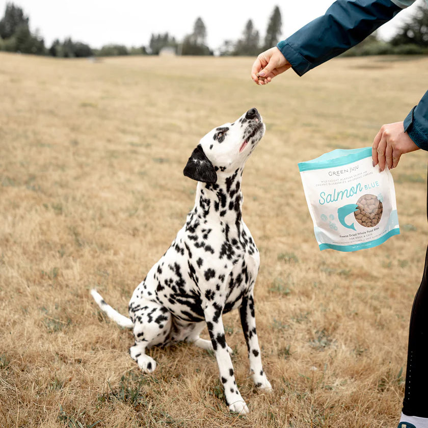 Salmon Blue Freeze Dried Whole Food Bites