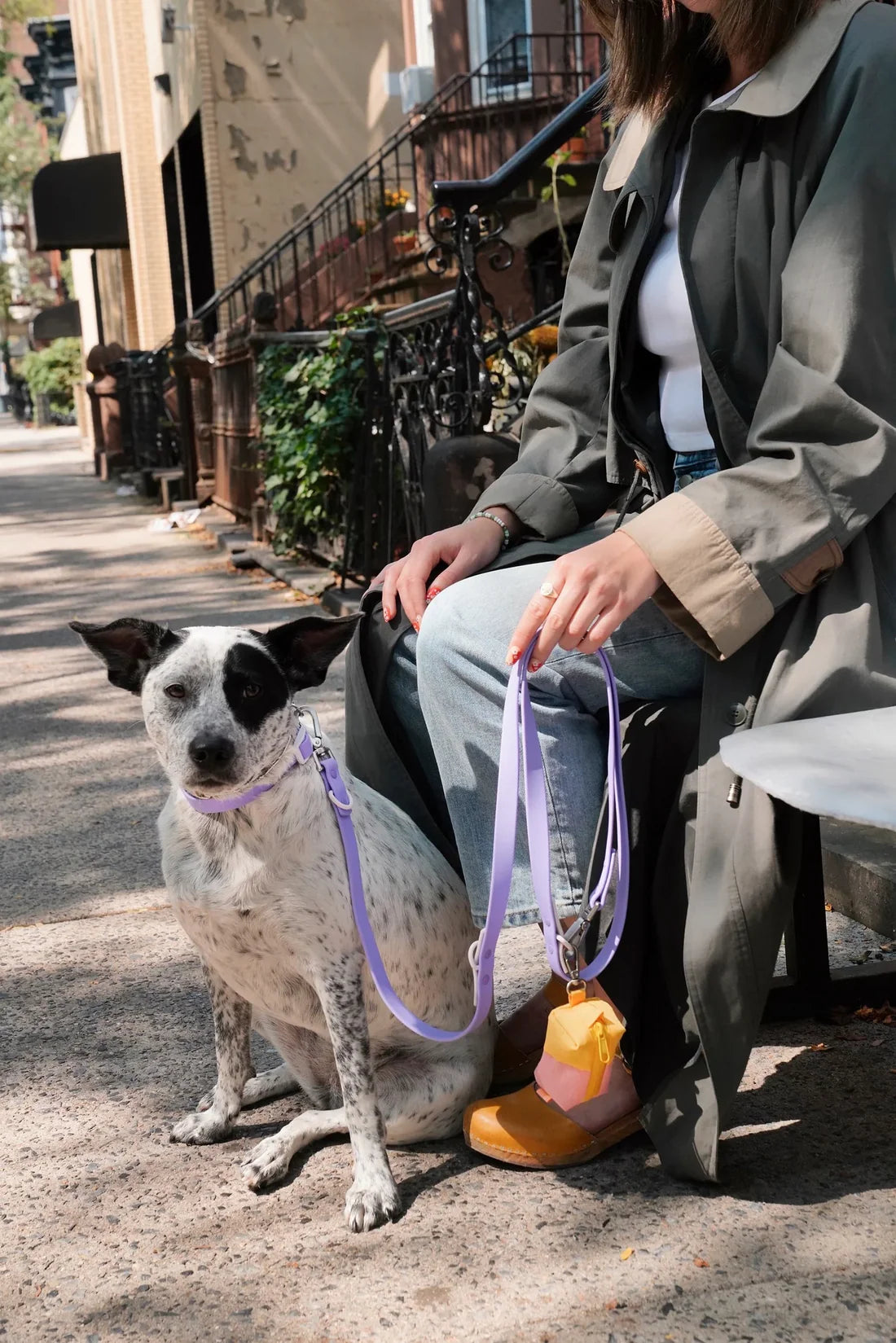 Fritz Collar + Leash Walk Set