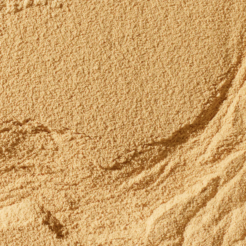 Wonderland Supplement