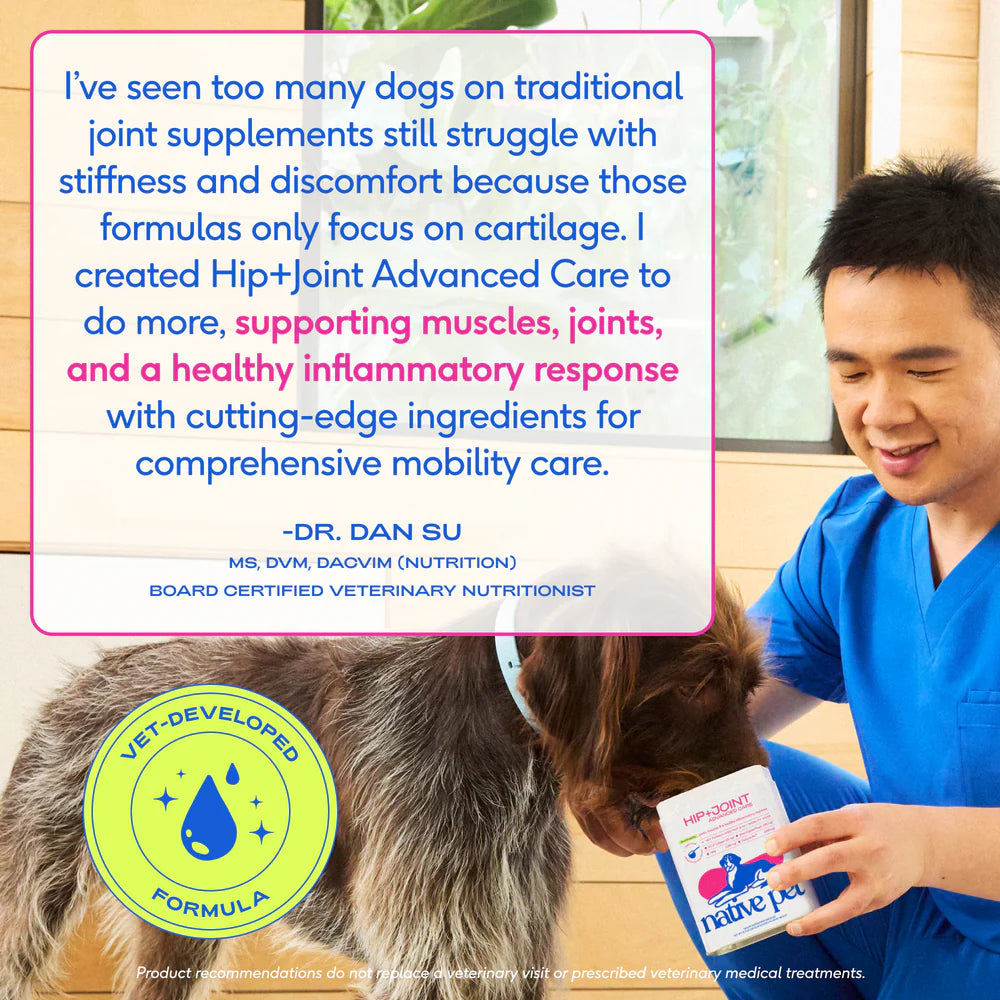 Wonderland Supplement