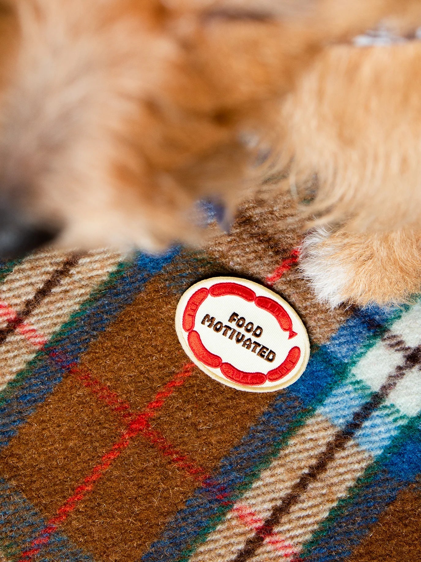 Food Motivated (iron-on patch)