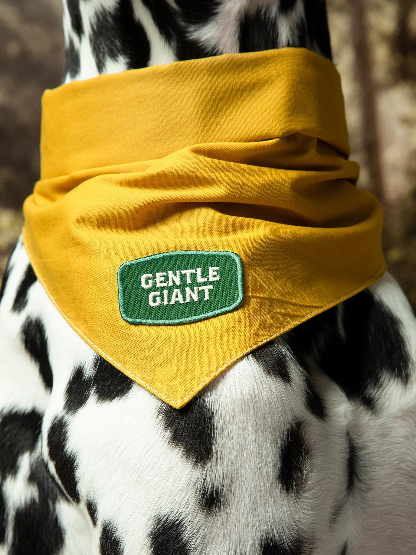 Gentle Giant (iron-on patch)