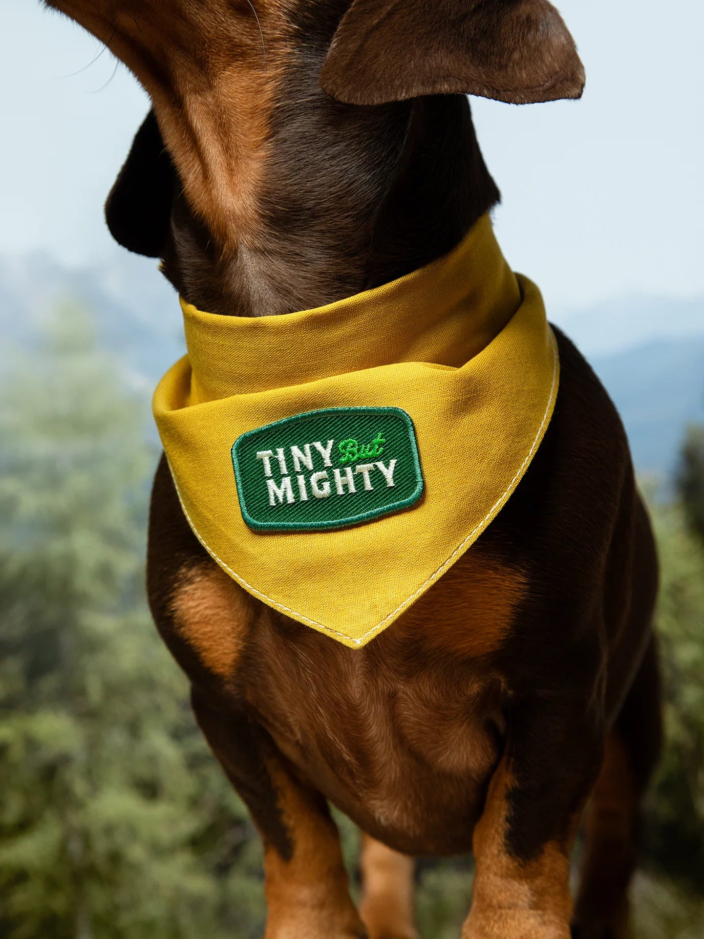 Tiny But Mighty (iron-on patch)