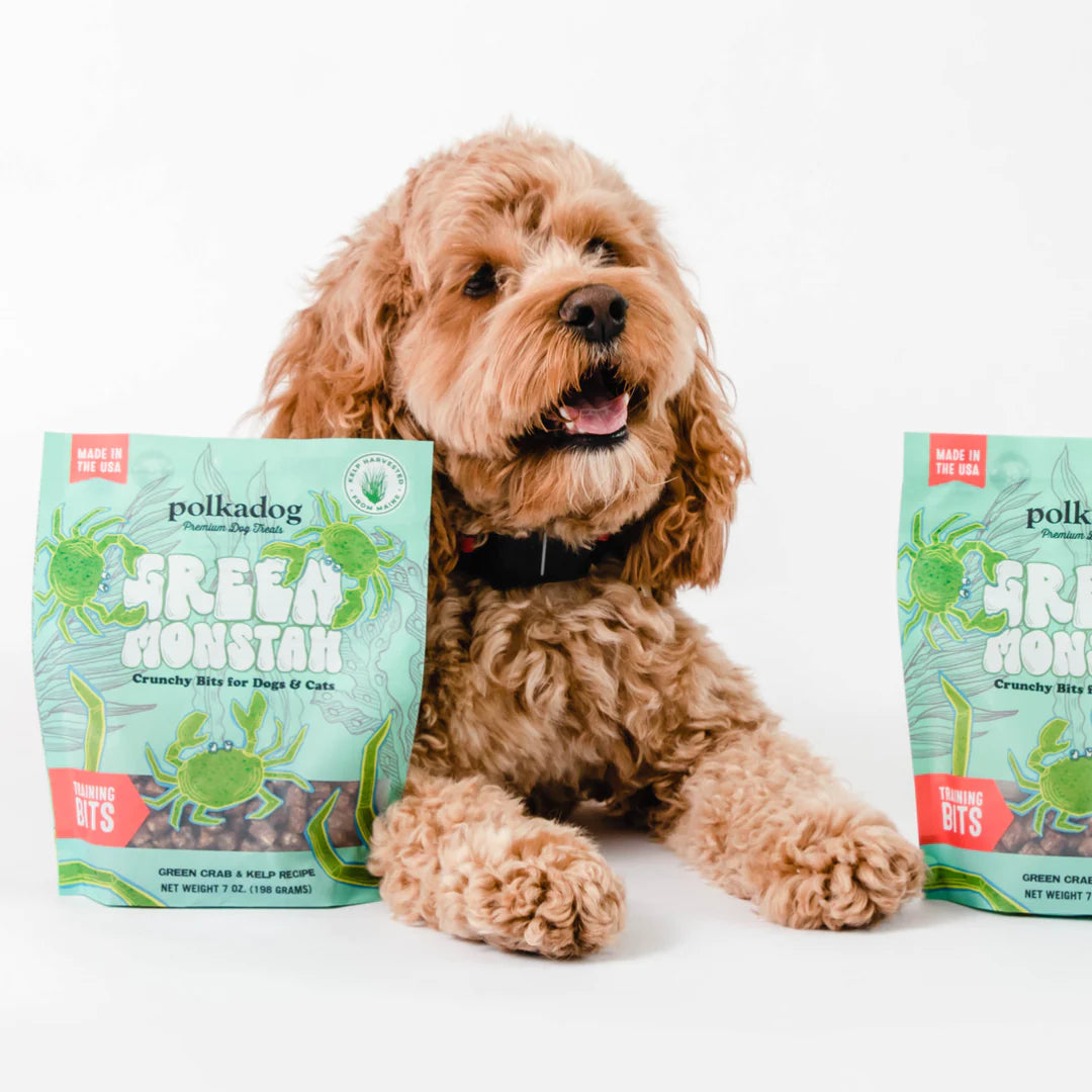 Polkadog Green Monstah (Bones)