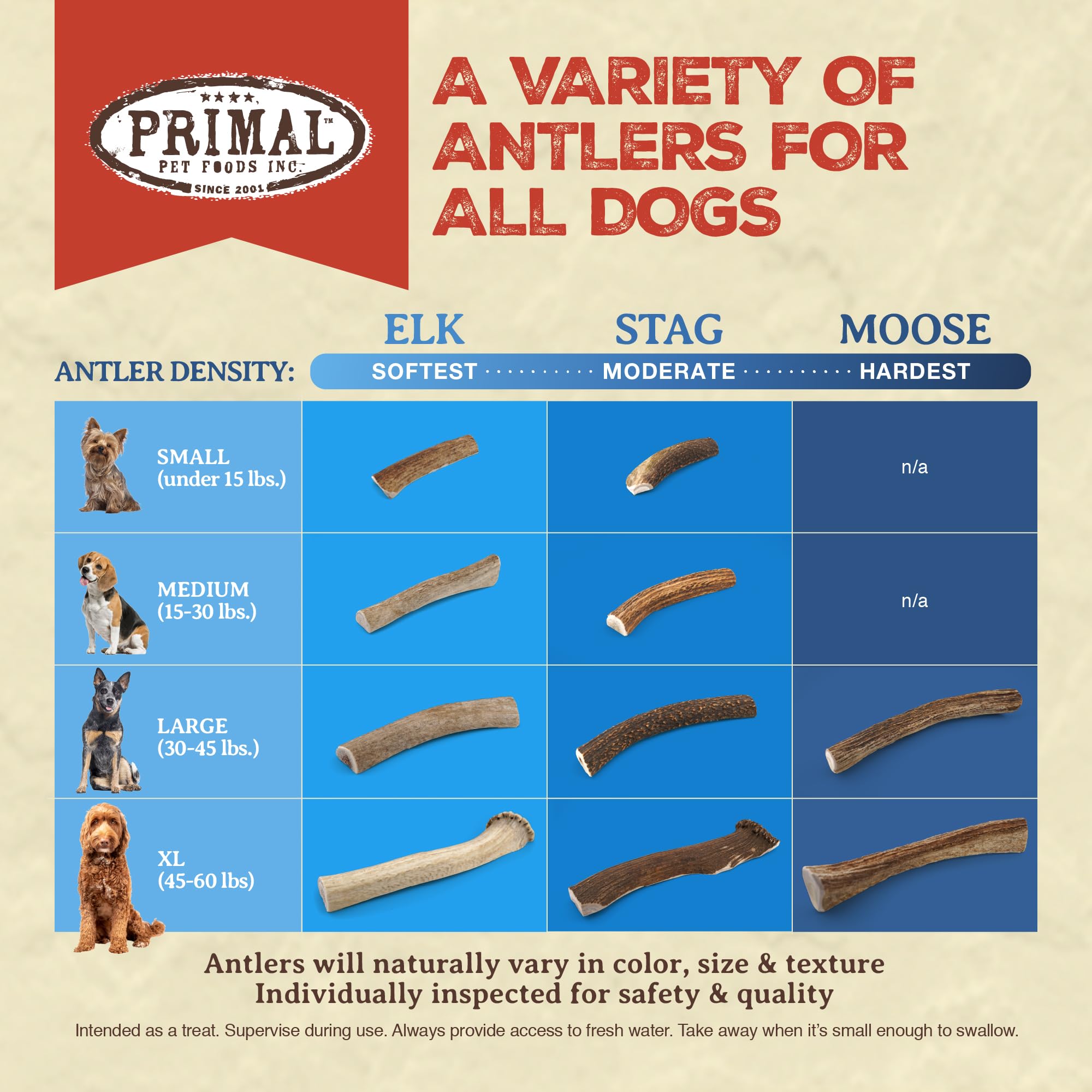 Elk Antler
