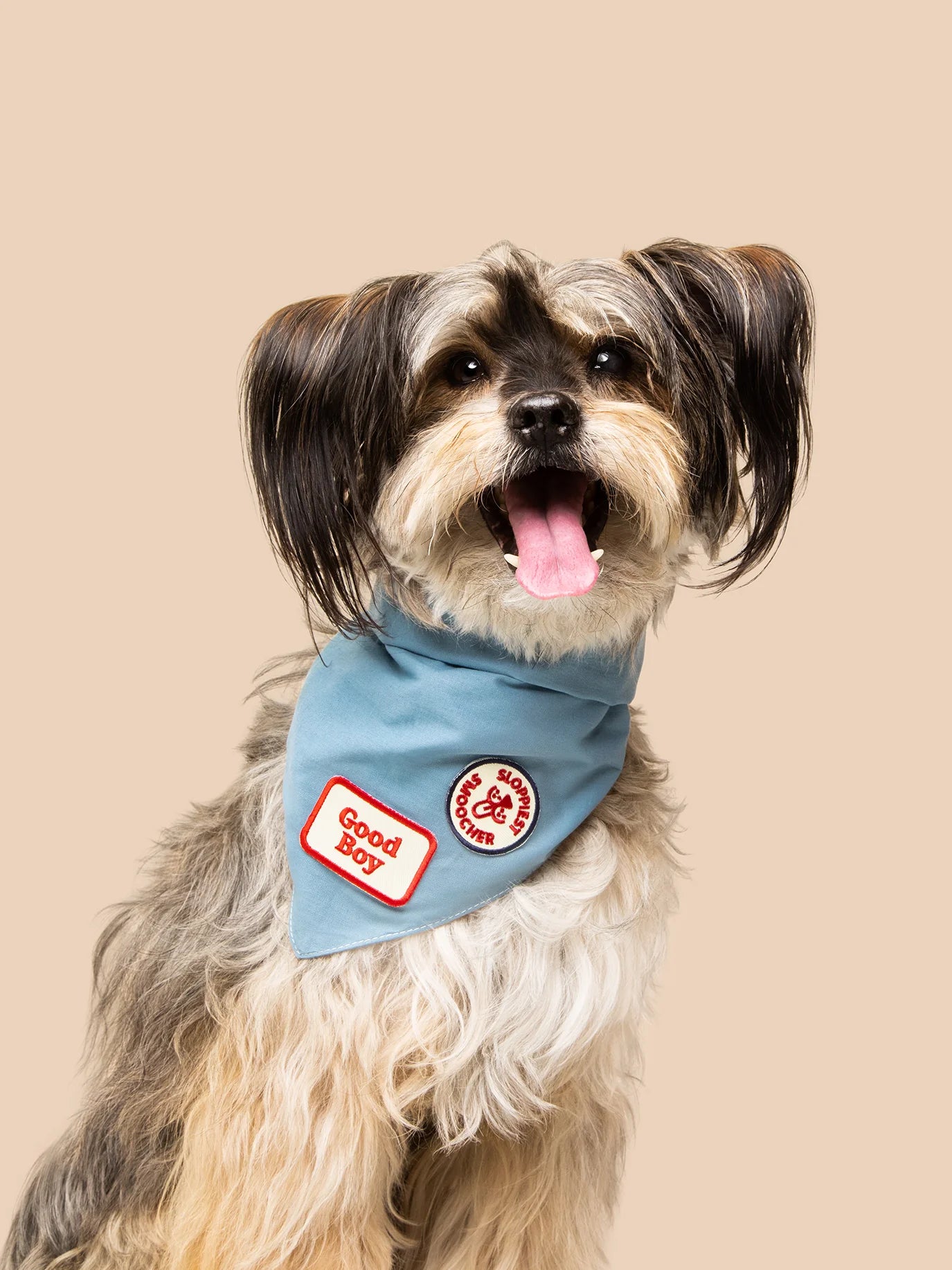 Good Boy (iron-on patch)